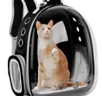 Bolsas transportadoras para gatos, transpirables, para exteriores, mochila  para perros pequeños, mochila de viaje para cápsulas, bolsa de transporte  ...
