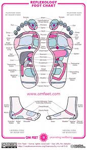 Free Foot Reflexology Chart