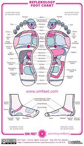 free foot reflexology chart