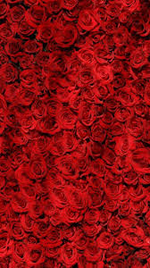 De alt fel (scris în trei cuvânte) este o structură alcătuită din prepoziţie + adjectiv + substantiv şi are înţelesul de altă varietate/de alt soi. PropoziÈii Cu Cuvintele Numai Nu Mai Defel De Fel BineinÈeles Bine InÈeles NociodatÄ Nici O Brainly Ro