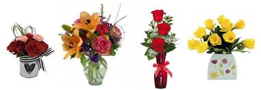 1 jimmy ogden found in utah. The 7 Best Options For Flower Delivery In Ogden Utah 2021