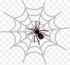 One of common problem that we found is you will difficult to found something new for halloween season. Insect Spider Purple Painted Violet Png Pngwing