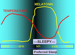 Image result for Delayed Sleep Phase