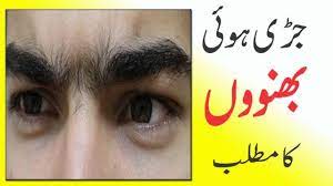 Meaning Of Joint Eyebrows In Urdu Hindi Eyebrows Meant To Be Joint