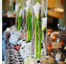 We did not find results for: Calla Lily Centerpieces