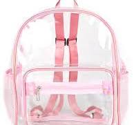 1 Mochila Transparente - Multineos