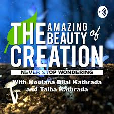 the amazing beauty of creation podcast listen reviews