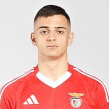 Рауль Алвес Морейра