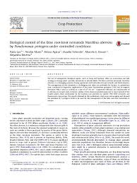 This repository contains packages that are only useful for rooted users. Pdf Biological Control Of The False Root Knot Nematode Nacobbus Aberrans By Pseudomonas Protegens Under Controlled Conditions Betina Cecilia Agaras Academia Edu