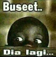 20 Gambar Meme Lucu Banget Untuk Perang Gambar Terbaru 2018 Funny Memes Cartoon Jokes Funny