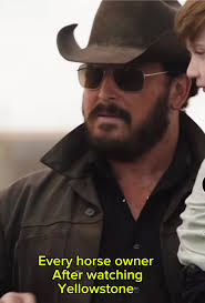 Confident in my horse! I knew he’d pass! #iykyk #yellowstone #ripwheeler  #cowboys #horsetest #capcut #equestrian #horsetok @Yellowstone