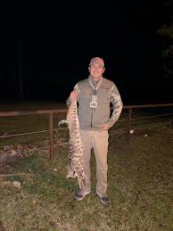 I've shot several cats over the years feeding cows or behind other people  running the call, but this is the first one calling in myself. Pretty  female. TTReeRee Baby 2 brought her