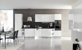 new modern kitchen design with white