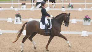 Bitting is probably the thorniest equestrian tack subject. Winter Dressage Championships Charlotte Dujardin S Rising Stars Unmissable Action And How To Watch Horse Hound