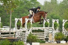 Kelley Farmer Dominates Hunter Derby Competition Pretty Horses Horse Jumping Show Jumping