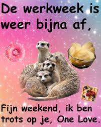 images?q=tbn:ANd9GcR4nyAyqoKKowirP0zSmOTCt7NBIag-wDiG3A&s