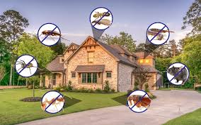 Residential pest control services