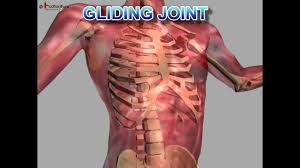 Don't forget to bookmark this page by hitting (ctrl + d), Science Human Body Bones And Muscles Part 2 Telugu Youtube