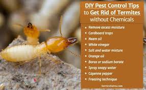 Tired Of Termites And Wondering How To Get Rid Of Termites Naturally Here Re The Best Do It Yourself Pest C Diy Pest Control Termite Treatment Termite Control