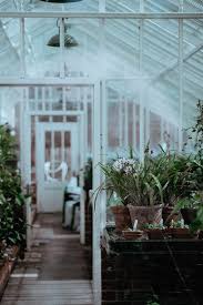 Gewächshäuser für den heimischen garten gibt es in den verschiedensten ausführungen. Leitfaden Zum Idealen Gewachshaus 2021 Kaufen Oder Selber