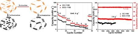 Identify basic common structures of plants. Boosting The Sodium Storage Performance Of Coal Based Carbon Materials Through Structure Modification By Solvent Extraction Sciencedirect