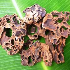 Check spelling or type a new query. Buah Merah Dan Sarang Semut Dapat Sembuhkan Aids