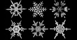 In these topics, you will find the information you need to access your snowflake account and perform all the administrative and user tasks associated with using snowflake. The Haunting Beauty Of Snowflakes Wilson Bentley S Pioneering 19th Century Photomicroscopy Of Snow Crystals Brain Pickings