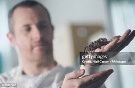 61 Carson Dunbar Stock Photos, High-Res Pictures, and Images