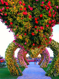 You will find the same great quality gardening tools and gardening accessories as in our print catalog and even more here on our website. High Resolution Dubai Miracle Garden 768x1024 Download Hd Wallpaper Wallpapertip
