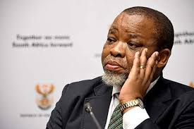 No, Mantashe has not been arrested, and there is no international warrant  out for Ramaphosa | News24