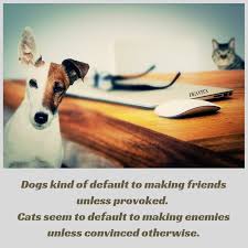 We did not find results for: Cats Vs Dogs Quotes And Funny Sayings For Your Beloved Pets