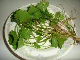 Klik untuk baca khasiat epal hijau berbanding epal merah. Pegaga Yang Berkhasiat Jus Pegaga Dan Epal Kema Kitchen