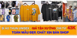 Image result for chuyên bán sỉ áo thun stee bear