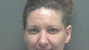 DCF enters case of Cape Coral kidnapping, dog attack