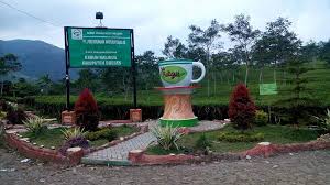 Hasil gambar untuk kebun teh kaligua