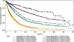 Maybe you would like to learn more about one of these? Comorbidity And Survival In Lung Cancer Patients Cancer Epidemiology Biomarkers Prevention
