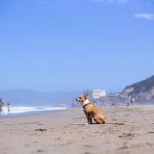 Best Public Beaches Near Me March 2021 Find Nearby Public Beaches Reviews Yelp
