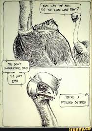Im Just Emu Dad Tumblr Funny Funny Comics Funny Memes