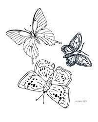 This ensures that both mac and windows users can download the coloring sheets and that your coloring pages aren't covered with ads or other web. Free Printable Butterfly Coloring Pages And Templates