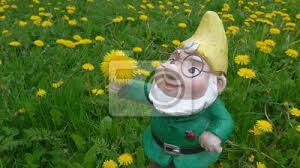 Die gartenzwerge passen überall hin. Lustiger Garten Zwerg Auf Einer Fruhlingswiese Fototapete Fototapeten Gartenzwerg Zwerg Gnome Myloview De