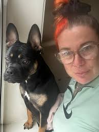 I believe mine is red cain corso not sure he doesn't look it any ideal  people