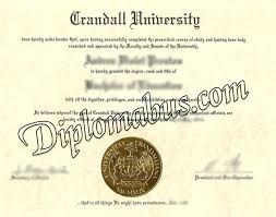 The legal tech professional certificate proposes a change of mentality to firms and lawyers who are always on the go and want to offer their clients what other competitors cannot. Buy Crandall University Diploma In Legal Practice Diplomabus