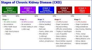 kidney disease in diabetics diabetic kidney disease stages