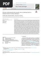 Image result for Thecacoris spathulifolia