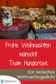 murphy und die 3 galgos aus dem morgenland ein tierisches weihnachtsgedicht hundereise weihnachtsgedichte tierisch weihnachtsgeschichte
