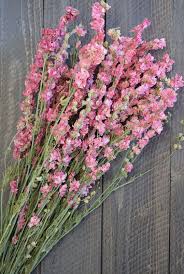 Pin On Flower Arranging Catalog