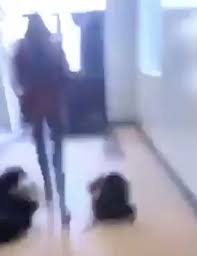 The broward county sheriff said 17 people were killed in the shooting at the parkland, florida, high school. Inside The Snapchat Bloodbath 60 Minutes Of Terror Which Left 17 Dead Bodies In Classrooms And Kids Full Of Blood Mirror Online