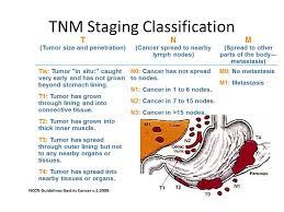 Luckily for me it had not burst thru or spread the infection. Gastric Cancer Cancer Therapy Advisor