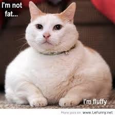 Funny Animal Quotes on Pinterest | Funny pictures, Animal Memes ... via Relatably.com