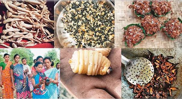 Indigenous Food: The Not-So-Secret Ingredient For Sustainability - Vikalp Sangam